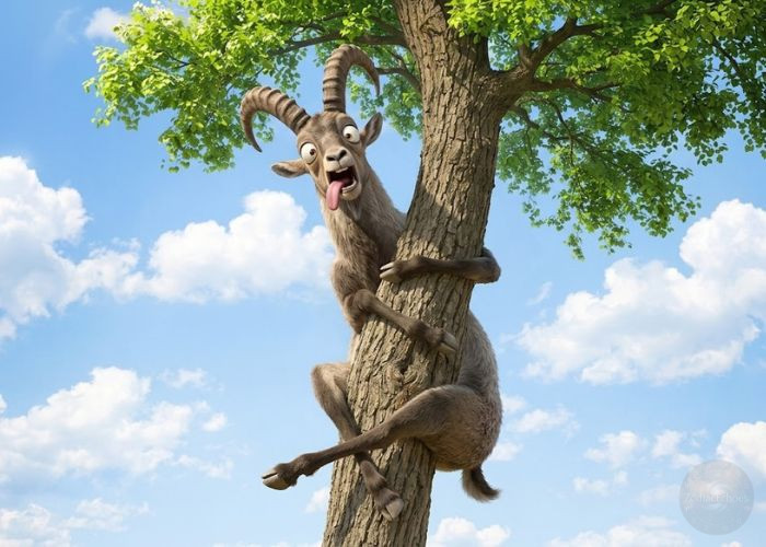 Capricorn — May 25, 2026
