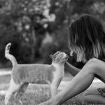 Cat Zodiac Signs: What Your Cat’s Sign Says About Their Personality