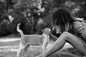 Cat Zodiac Signs: What Your Cat’s Sign Says About Their Personality