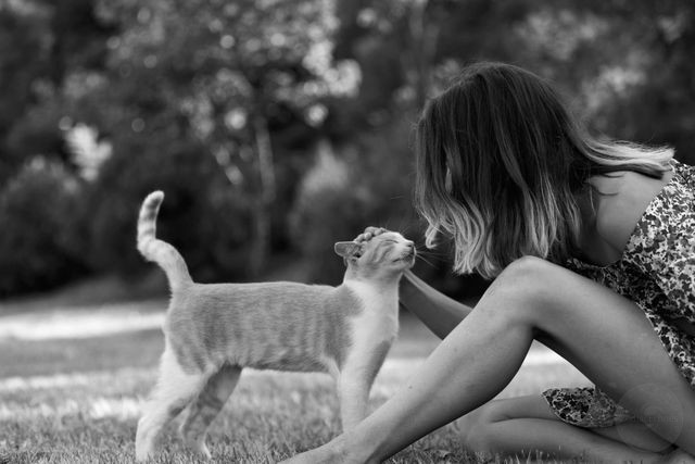 Cat Zodiac Signs: What Your Cat’s Sign Says About Their Personality