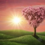How to Attract Love Even If You Don't Believe in Magic