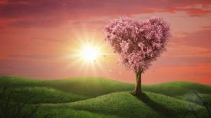 How to Attract Love Even If You Don’t Believe in Magic