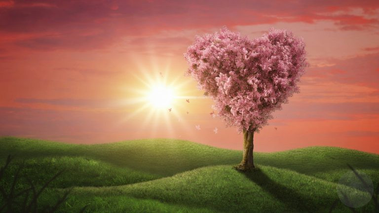 How to Attract Love Even If You Don't Believe in Magic