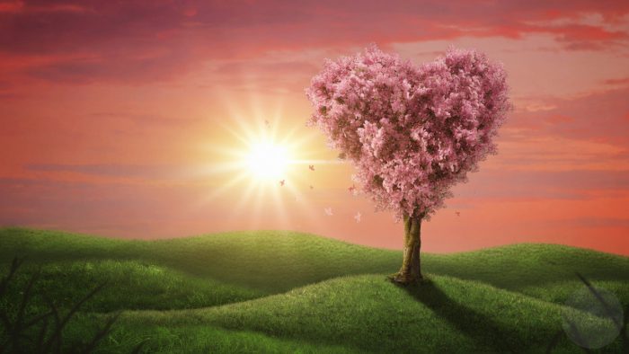 How to Attract Love Even If You Don't Believe in Magic