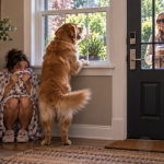 Zodiac Signs When Someone Shows Up at Their Door Unannounced: Home Is a Sanctuary Until the Doorbell Rings