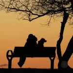 The Zodiac Signs Most Likely to Have a Secret Crush for Years: Some Feelings Refuse to Die