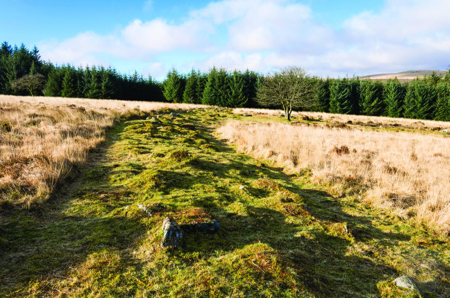 Dartmoor landscape in Devon