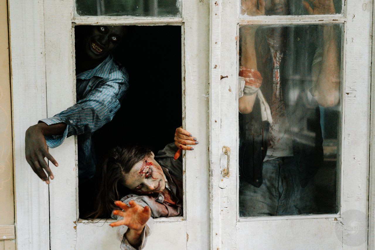 Zodiac Signs in a Zombie Apocalypse