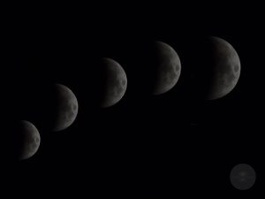 Lunar Calendar for October 7–13, 2026: The Libra New Moon Favors Love, Scorpio Says Trust Your Intuition