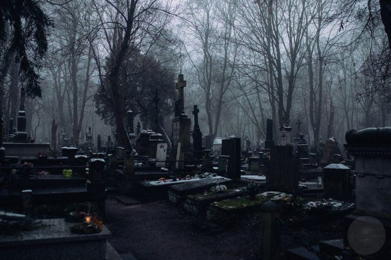 Which Zodiac Signs Would Spend Seven Nights Alone in a Haunted Cemetery for $5 Million?